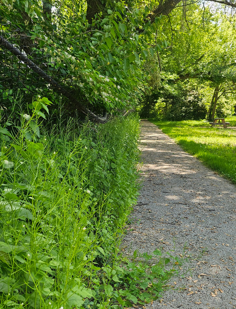 The finished walking trail - completed by Heath Landscaping - is open and ready for use